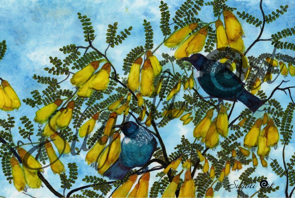 Tui on Kowhai Tree Print