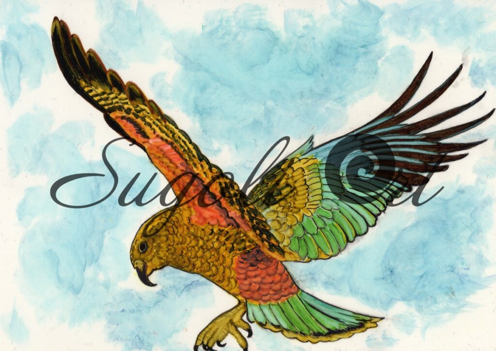 Kea in Flight Print