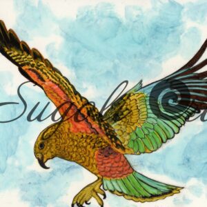 Kea in Flight Print