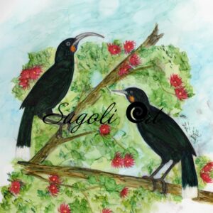 The Huia Print