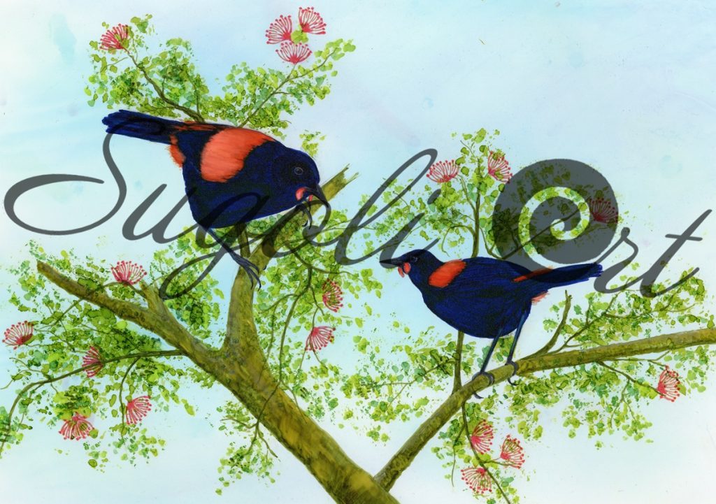 Tieke Arohanui Print