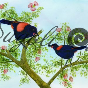 Tieke Arohanui Print