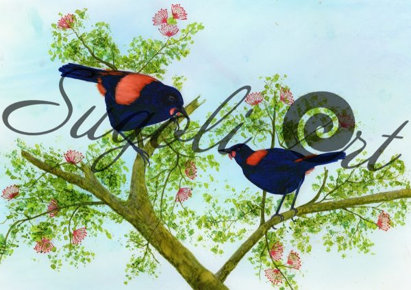 Tieke Arohanui Print